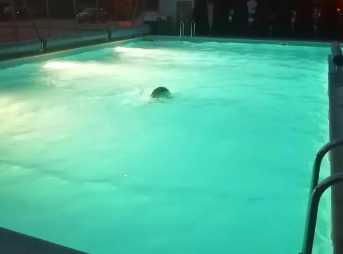 Blue Eye Апартаменты *